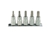 Picture of Set chei torx 5 piese, T25-50  3/8", Geko G13560