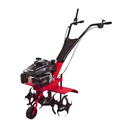 Picture of Motosapa 161cc 3kw (4 CP) 600mm RD-T09, Raider, 076904